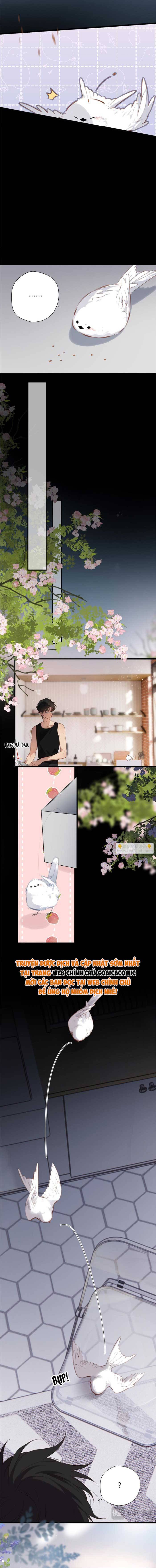 Tố Hồi Xuân Thời - Chap Tố Hồi Xuân Thời – Chap 32 - Trang 6