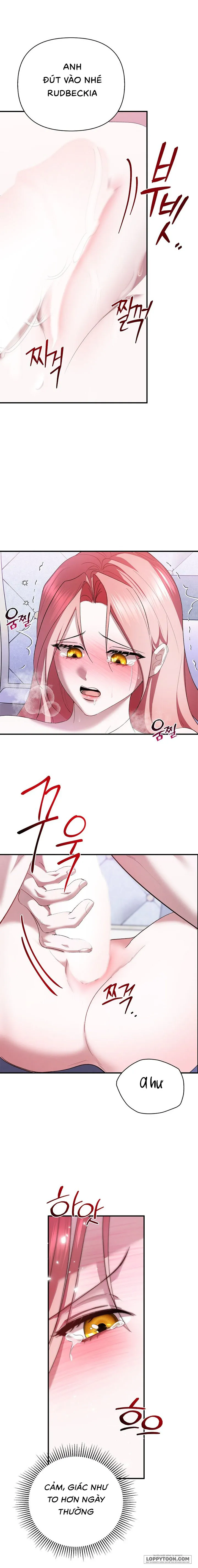 Tôi Đã Ăn Thay Cho Chồng - Chap 3 - 🔞🔞🔞 - Trang 21