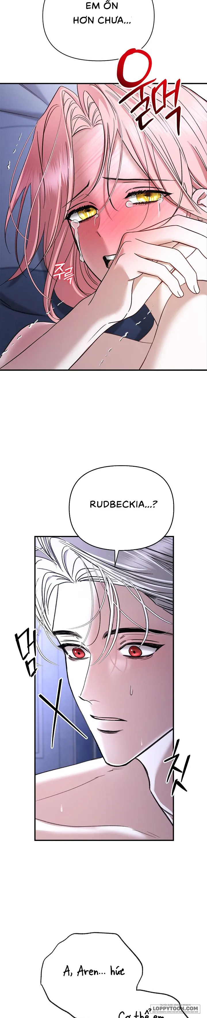 Tôi Đã Ăn Thay Cho Chồng - Chap 7 - 🔞🔞🔞 - Trang 25