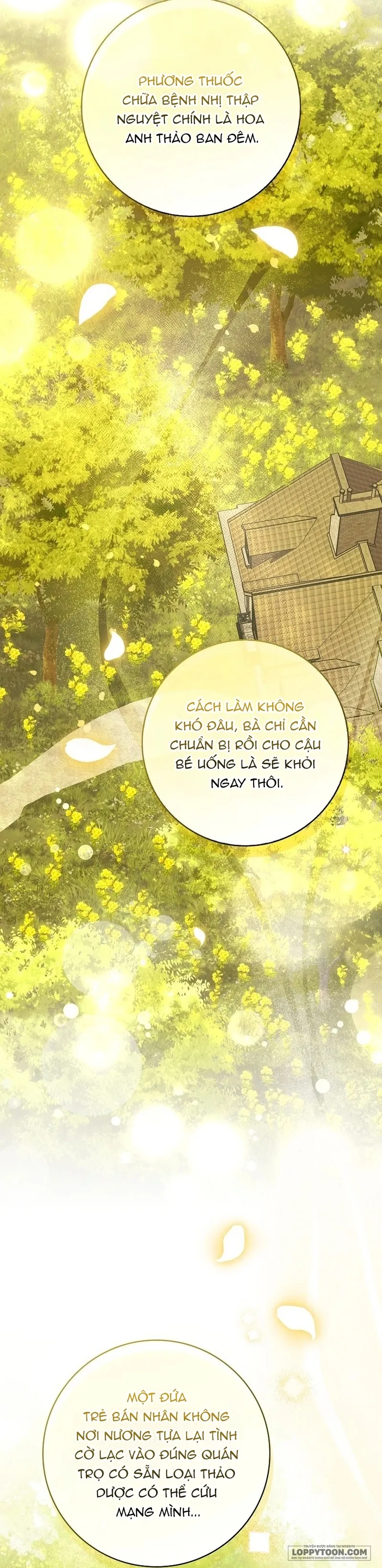 Tôi Sẽ Cố Gắng Cứu Cha - Chap 17 - Trang 17