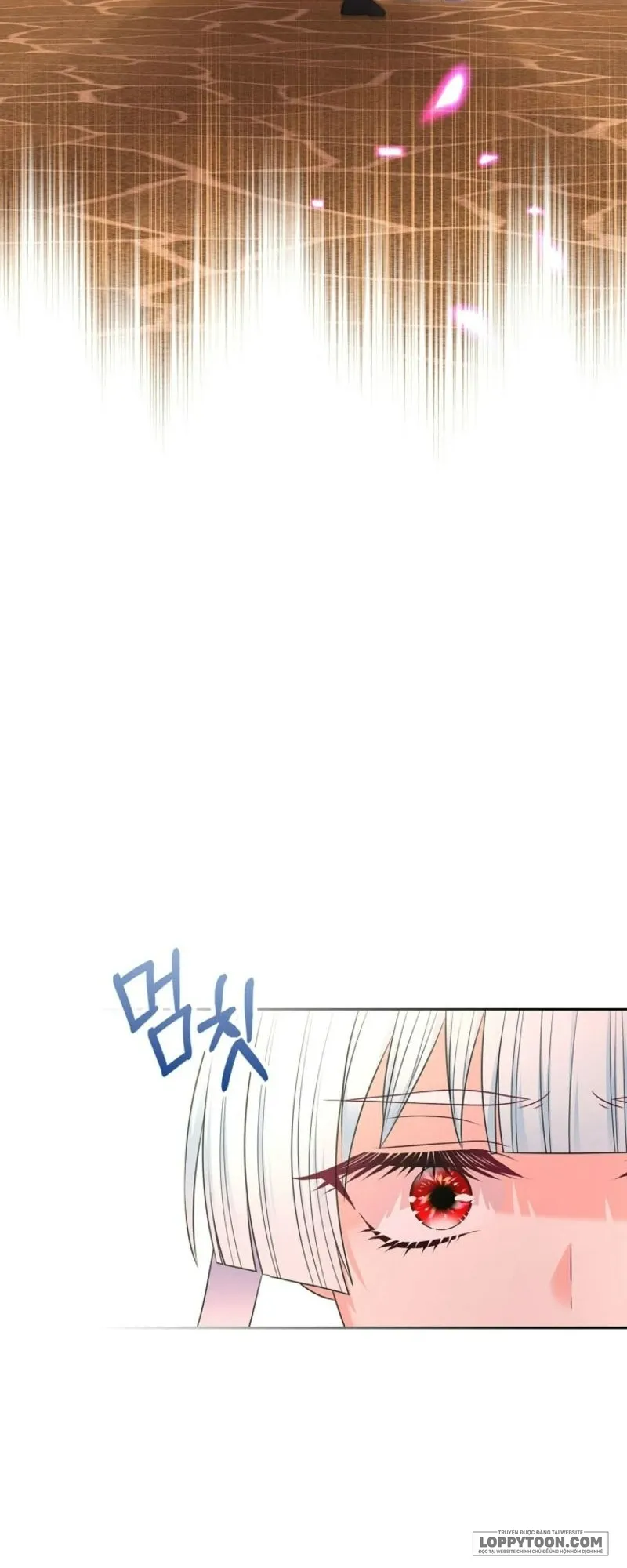 Tôi Sẽ Ly Hôn Với Anh Trai Nữ Chính - Chap 94 - Trang 47