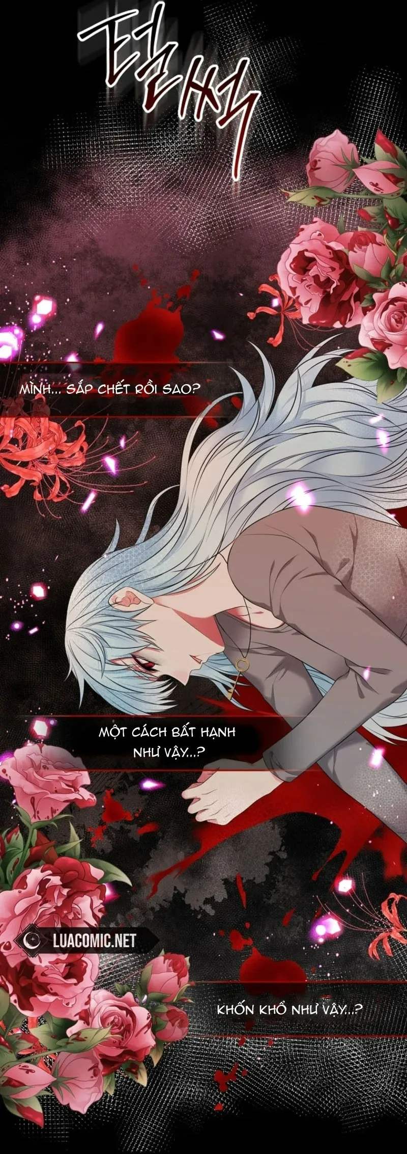 Tôi Sẽ Ly Hôn Với Anh Trai Nữ Chính - Chap 94 - Trang 68