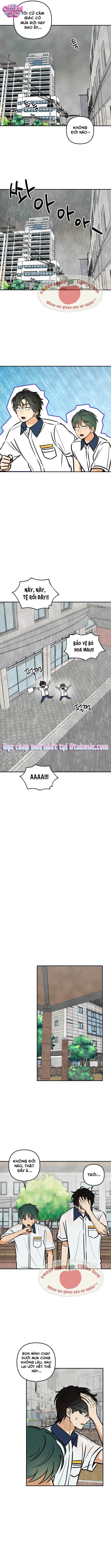 Top dog Kim Jian - Chap 23 - Trang 10