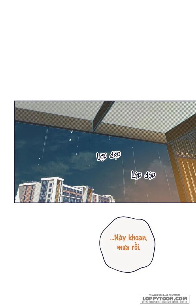 Trắc Nghiệm 4 Lựa Chọn - Chap 11 - Trang 36