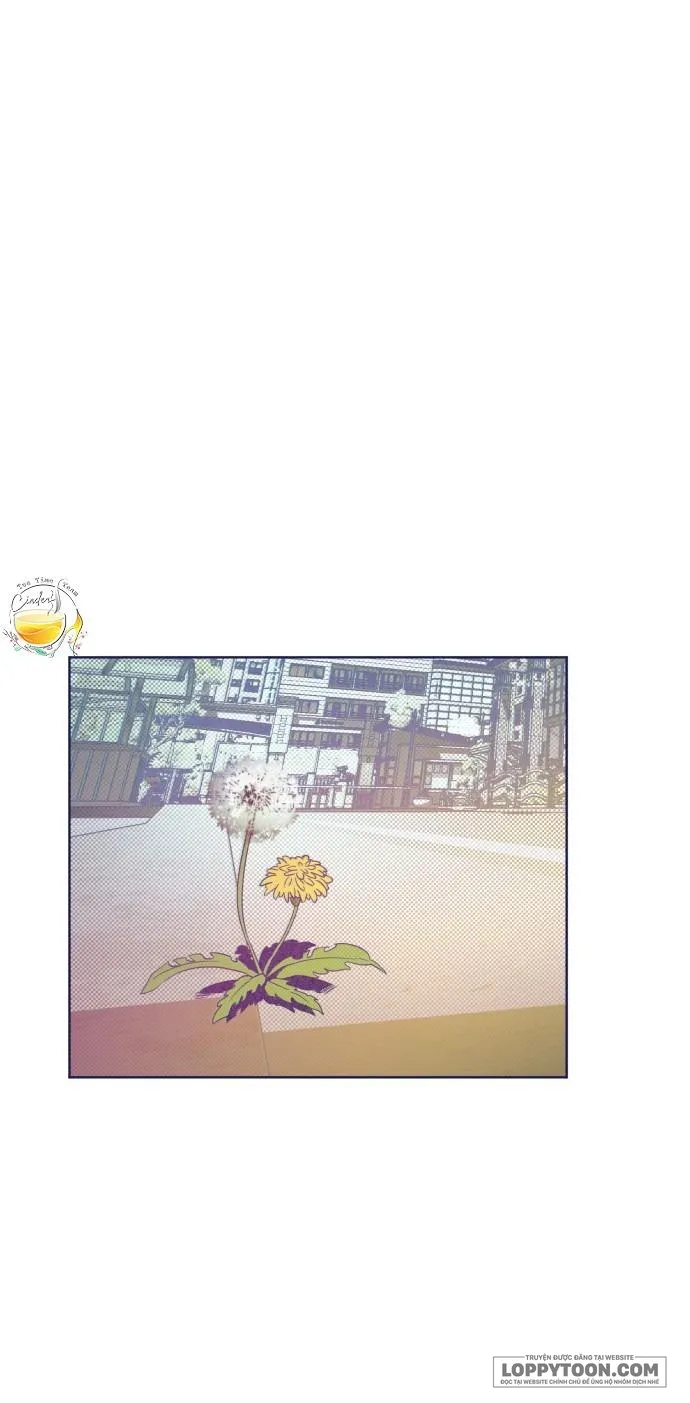 Trắc Nghiệm 4 Lựa Chọn - Chap 16 - Trang 2