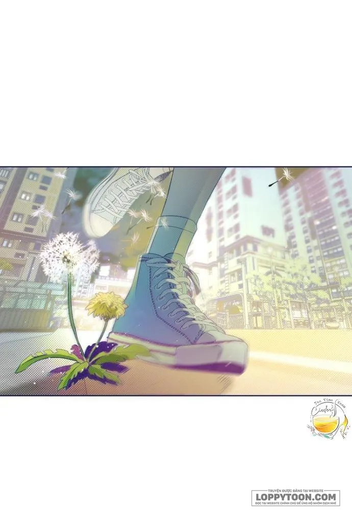 Trắc Nghiệm 4 Lựa Chọn - Chap 16 - Trang 3