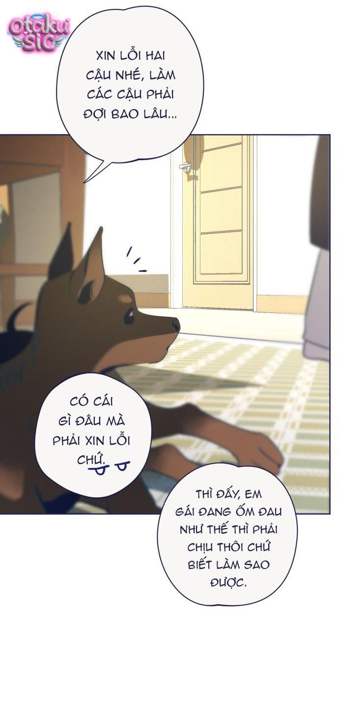 Trắc Nghiệm 4 Lựa Chọn - Chap 31