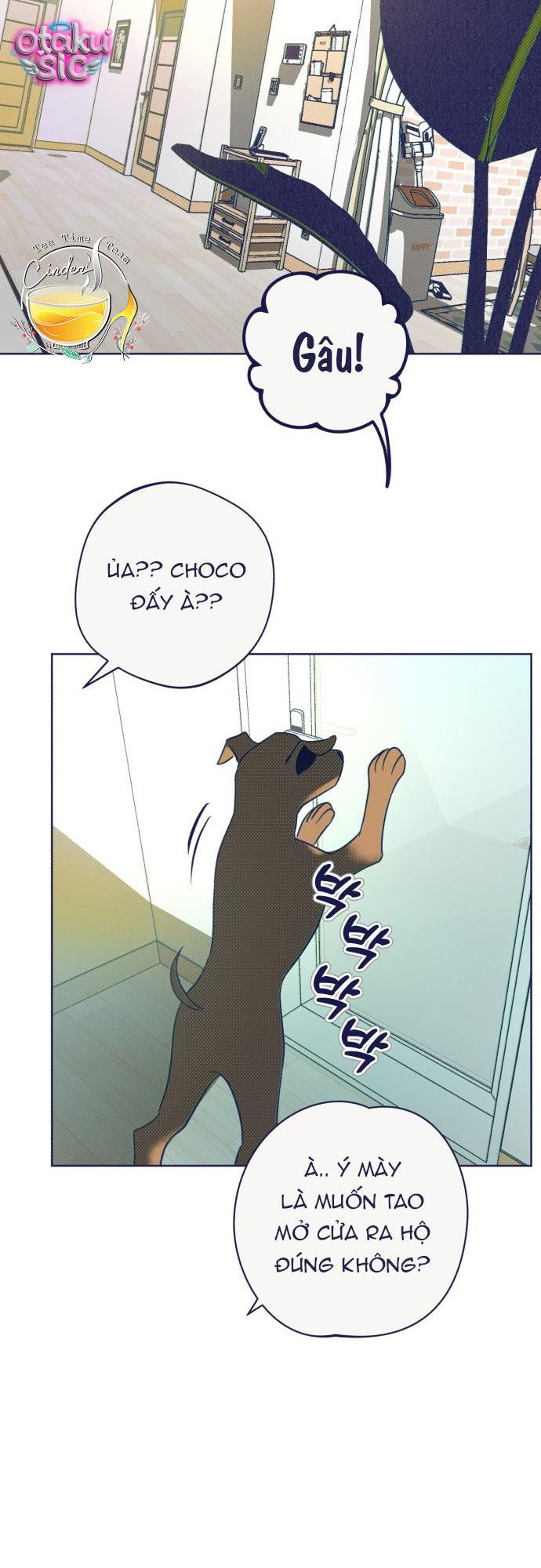 Trắc Nghiệm 4 Lựa Chọn - Chap 33