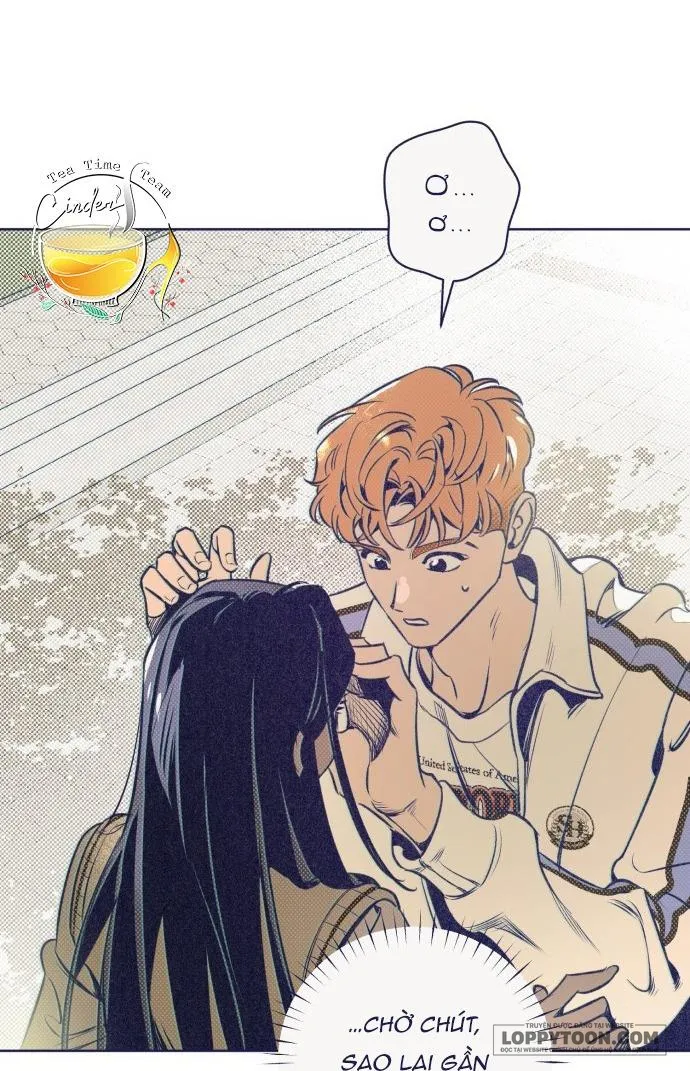 Trắc Nghiệm 4 Lựa Chọn - Chap 5 - Trang 29