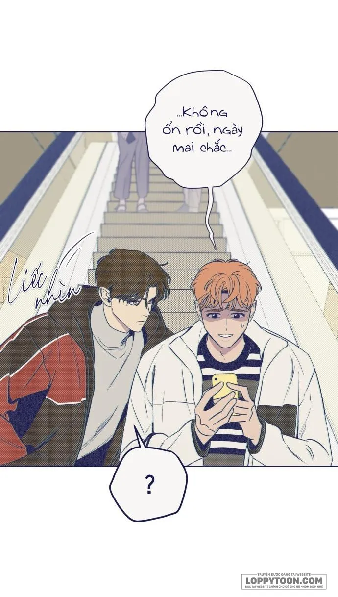 Trắc Nghiệm 4 Lựa Chọn - Chap 8 - Trang 22
