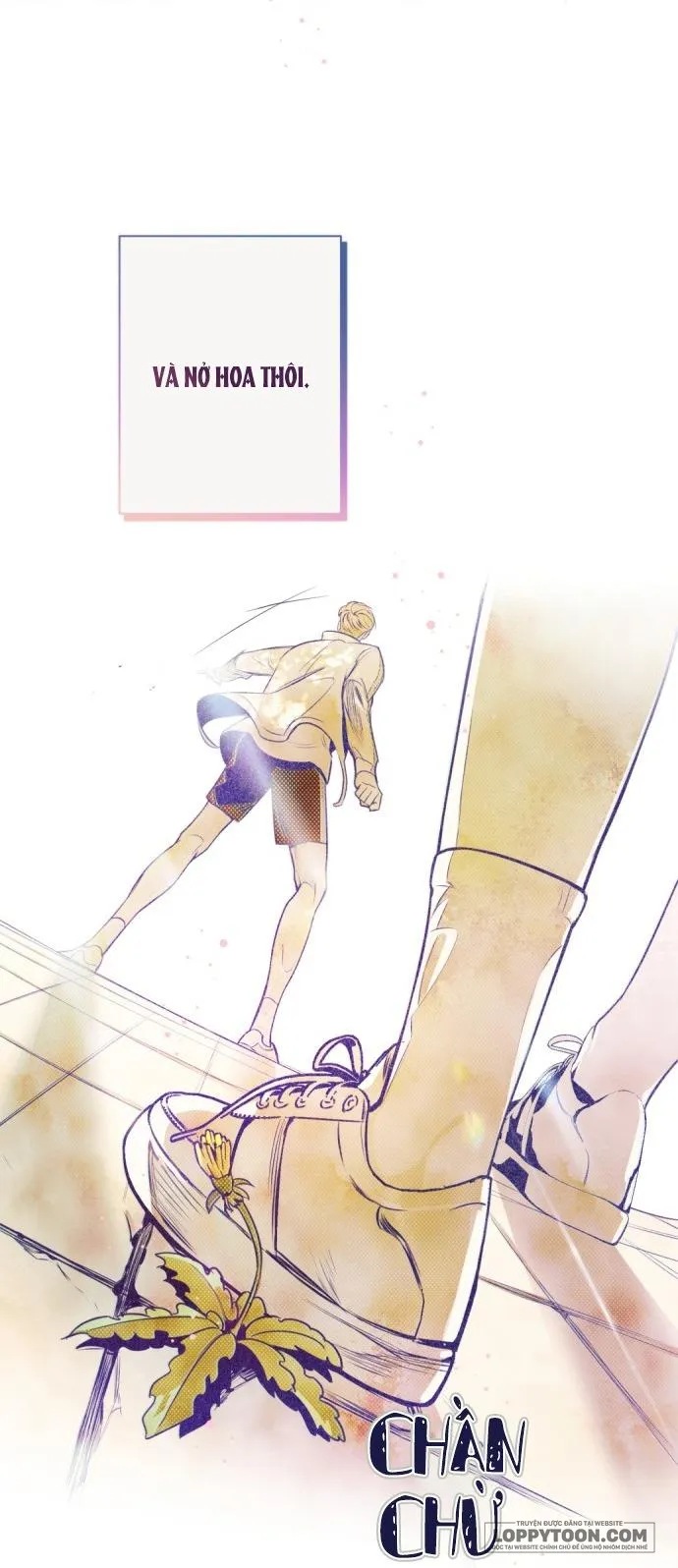 Trắc Nghiệm 4 Lựa Chọn - Chap 8 - Trang 38