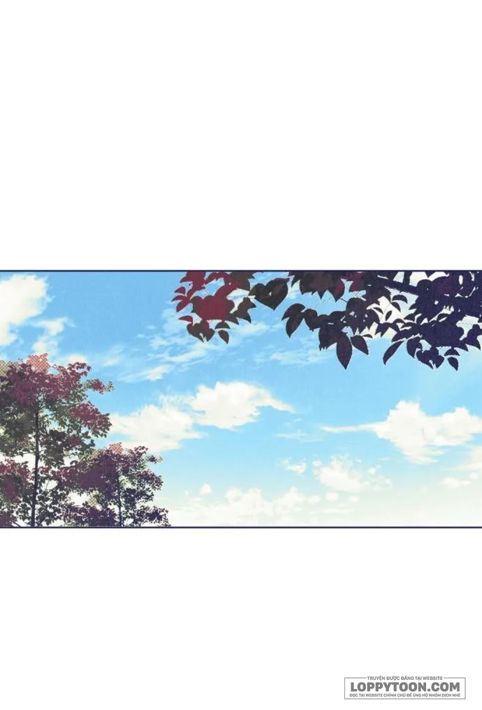 Trắc Nghiệm 4 Lựa Chọn - Chap 8 - Trang 46