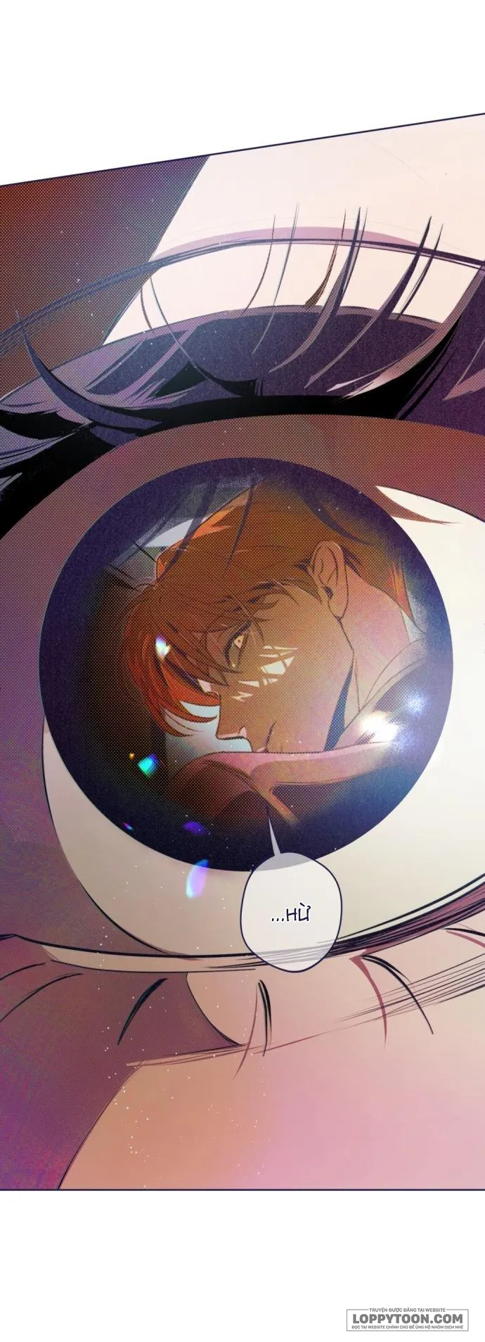 Trắc Nghiệm 4 Lựa Chọn - Chap 8 - Trang 69