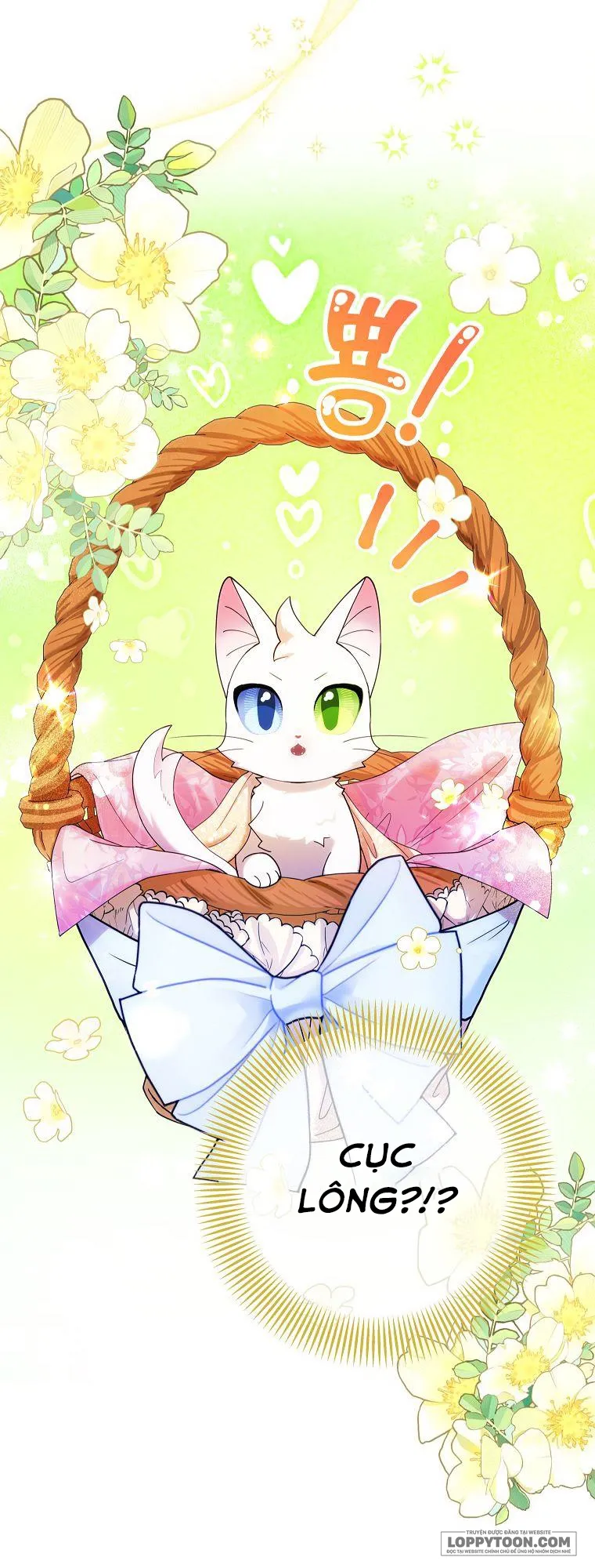 Trở Thành Miêu Nữ Của Hoàng Đế - Chap 1 - Trang 2