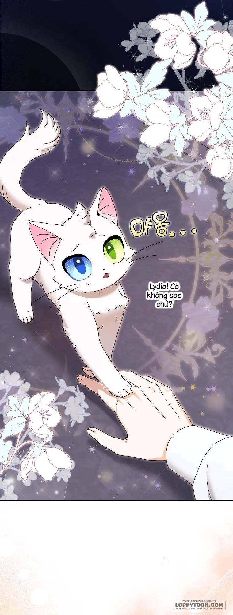 Trở Thành Miêu Nữ Của Hoàng Đế - Chap 10 - Trang 53
