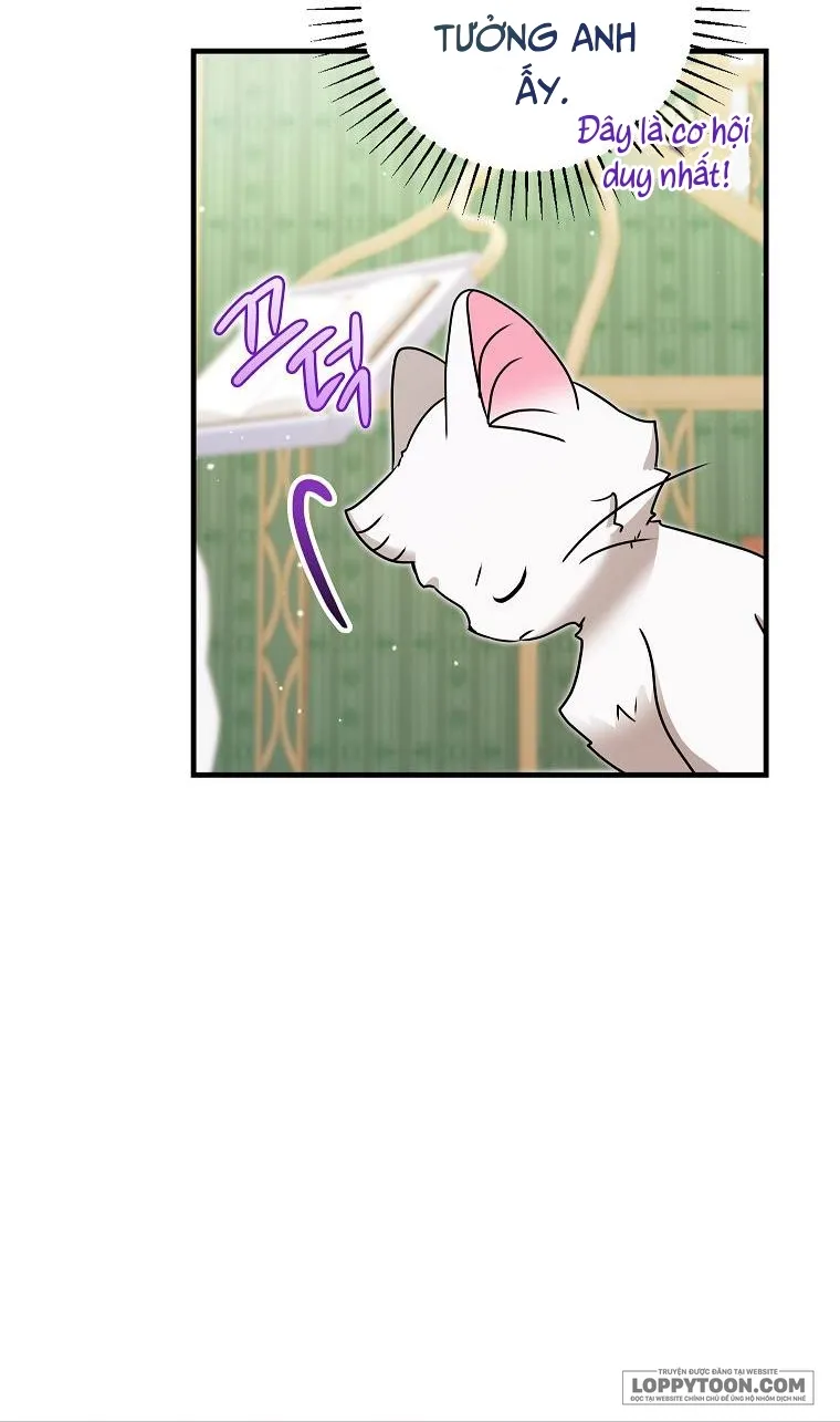 Trở Thành Miêu Nữ Của Hoàng Đế - Chap 17 - Trang 42