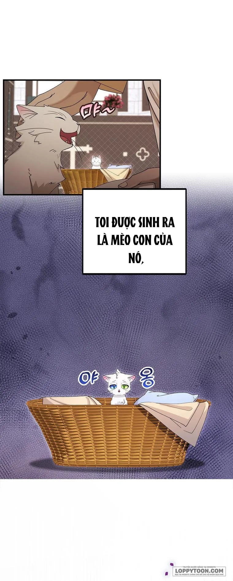 Trở Thành Miêu Nữ Của Hoàng Đế - Chap 2 - Trang 13