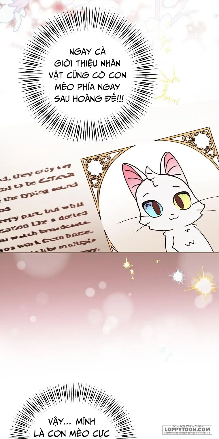 Trở Thành Miêu Nữ Của Hoàng Đế - Chap 2 - Trang 18
