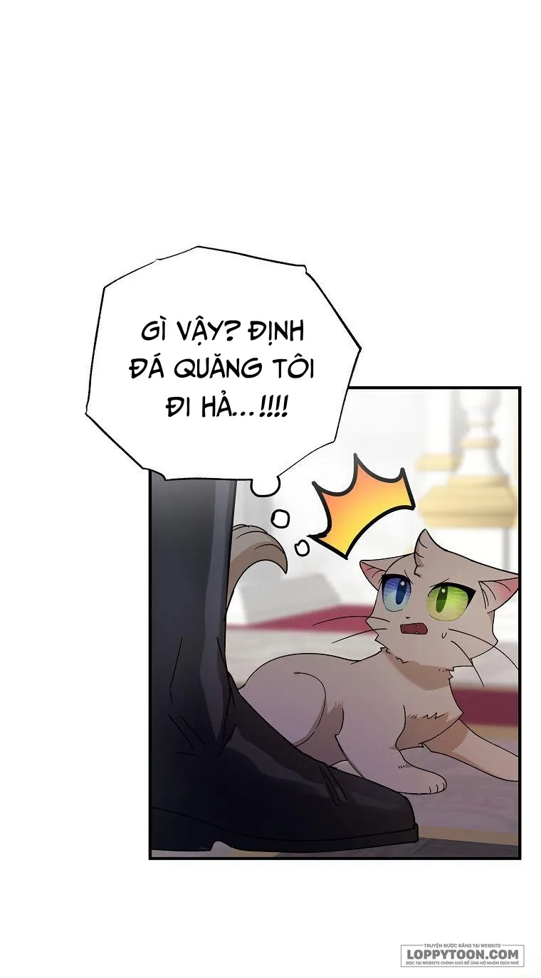 Trở Thành Miêu Nữ Của Hoàng Đế - Chap 2 - Trang 33