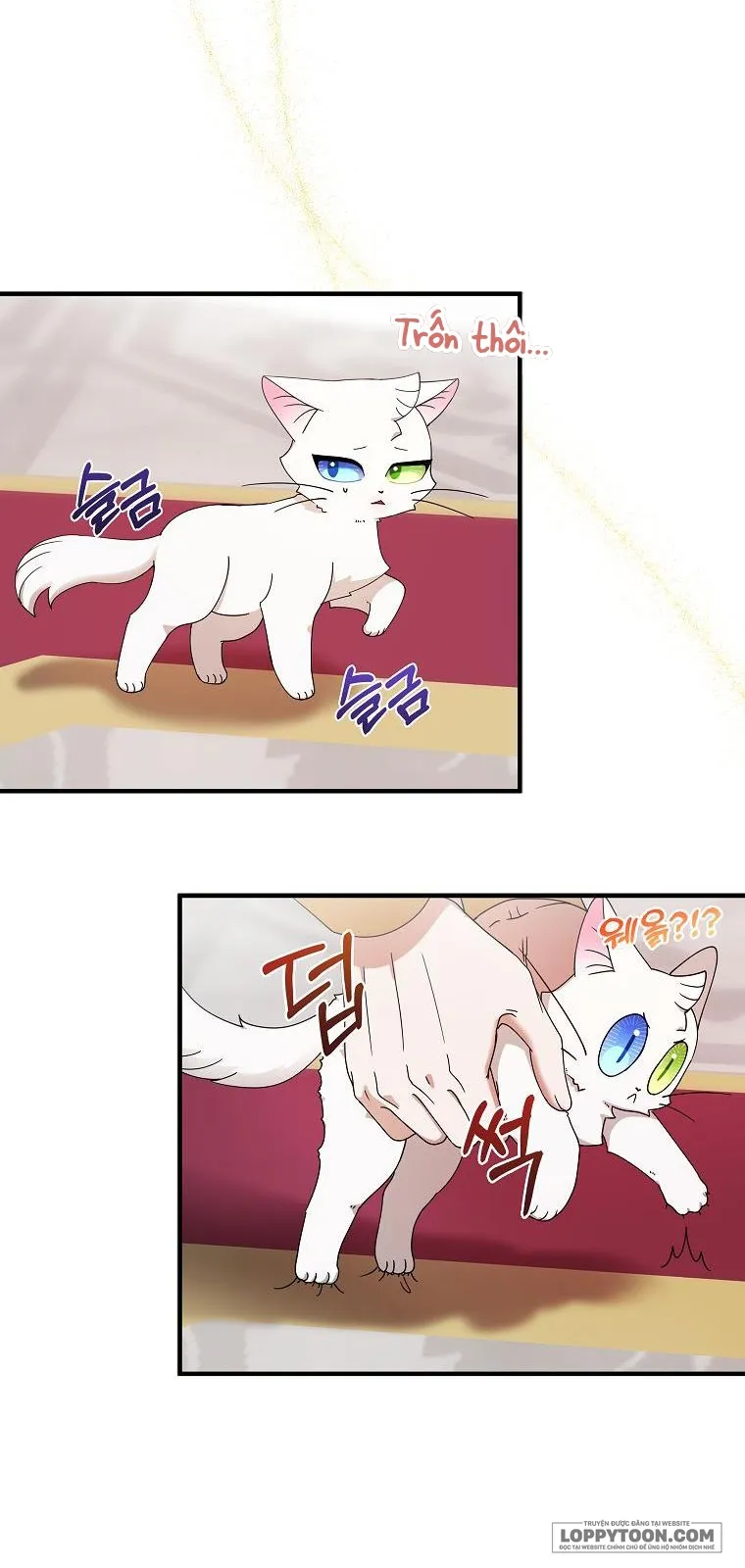 Trở Thành Miêu Nữ Của Hoàng Đế - Chap 2 - Trang 35