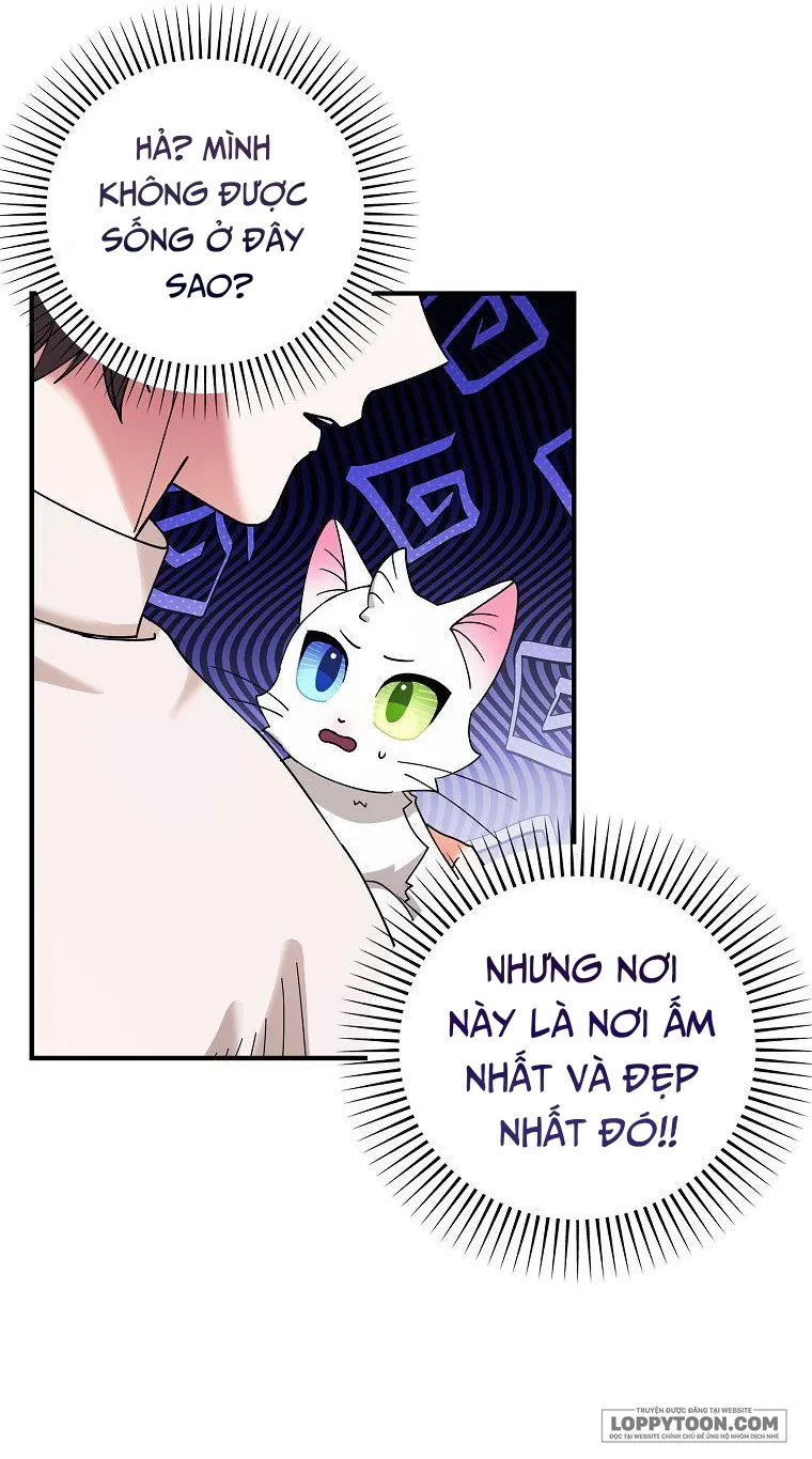 Trở Thành Miêu Nữ Của Hoàng Đế - Chap 2 - Trang 40