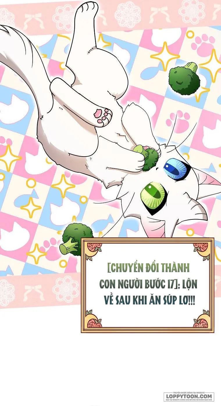 Trở Thành Miêu Nữ Của Hoàng Đế - Chap 2 - Trang 46