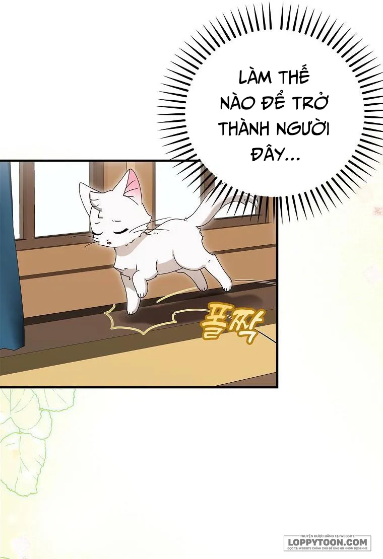 Trở Thành Miêu Nữ Của Hoàng Đế - Chap 2 - Trang 48