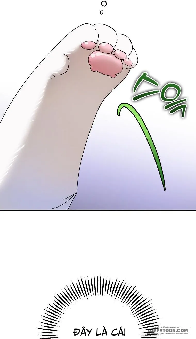 Trở Thành Miêu Nữ Của Hoàng Đế - Chap 21 - Trang 16