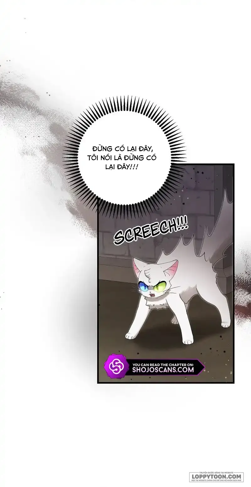 Trở Thành Miêu Nữ Của Hoàng Đế - Chap 25 - Trang 19