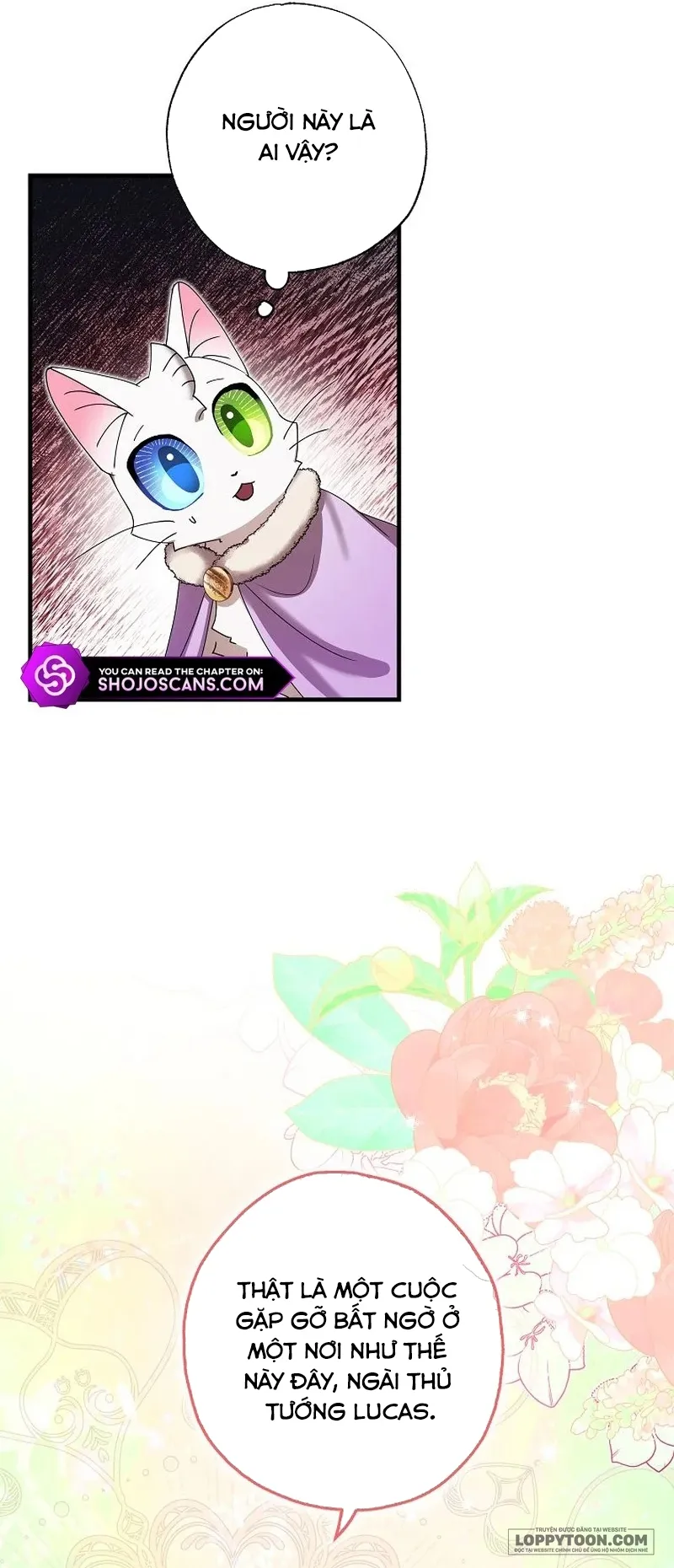 Trở Thành Miêu Nữ Của Hoàng Đế - Chap 28 - Trang 46