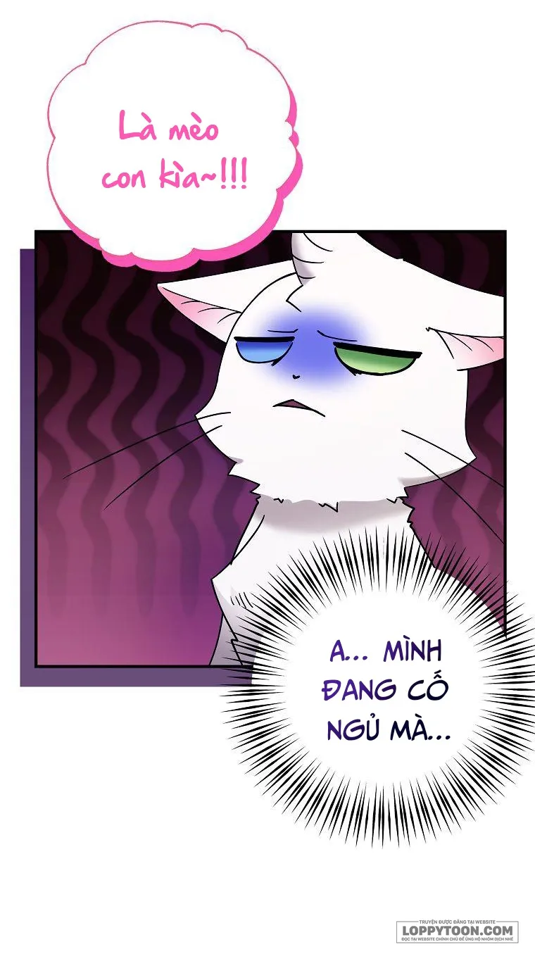 Trở Thành Miêu Nữ Của Hoàng Đế - Chap 3 - Trang 13