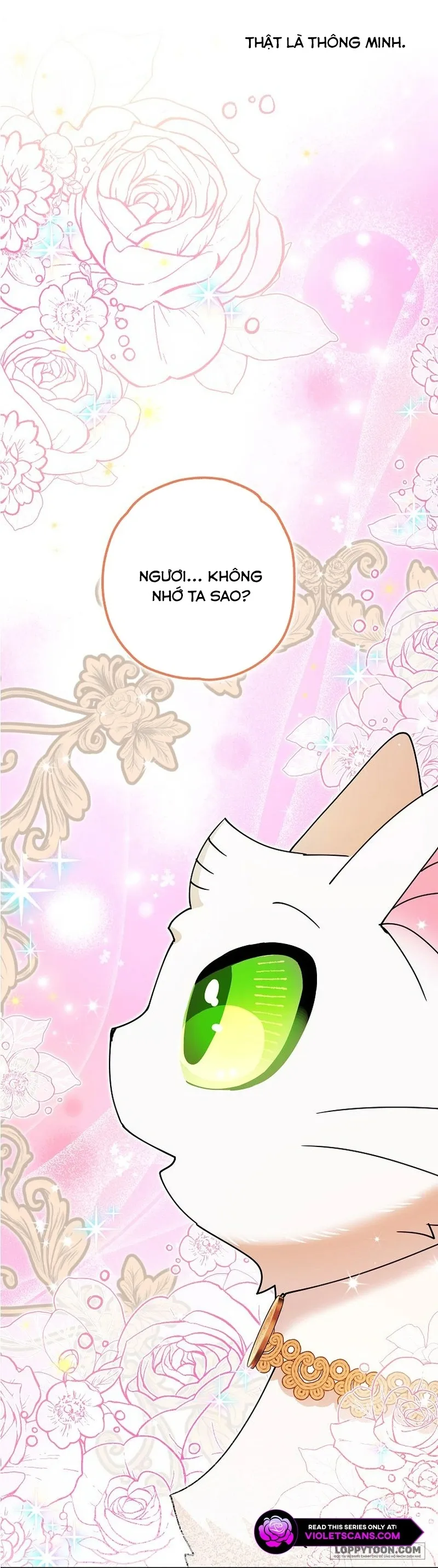 Trở Thành Miêu Nữ Của Hoàng Đế - Chap 32 - Trang 51