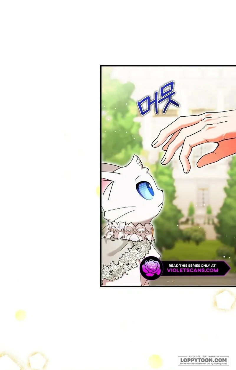 Trở Thành Miêu Nữ Của Hoàng Đế - Chap 32 - Trang 7