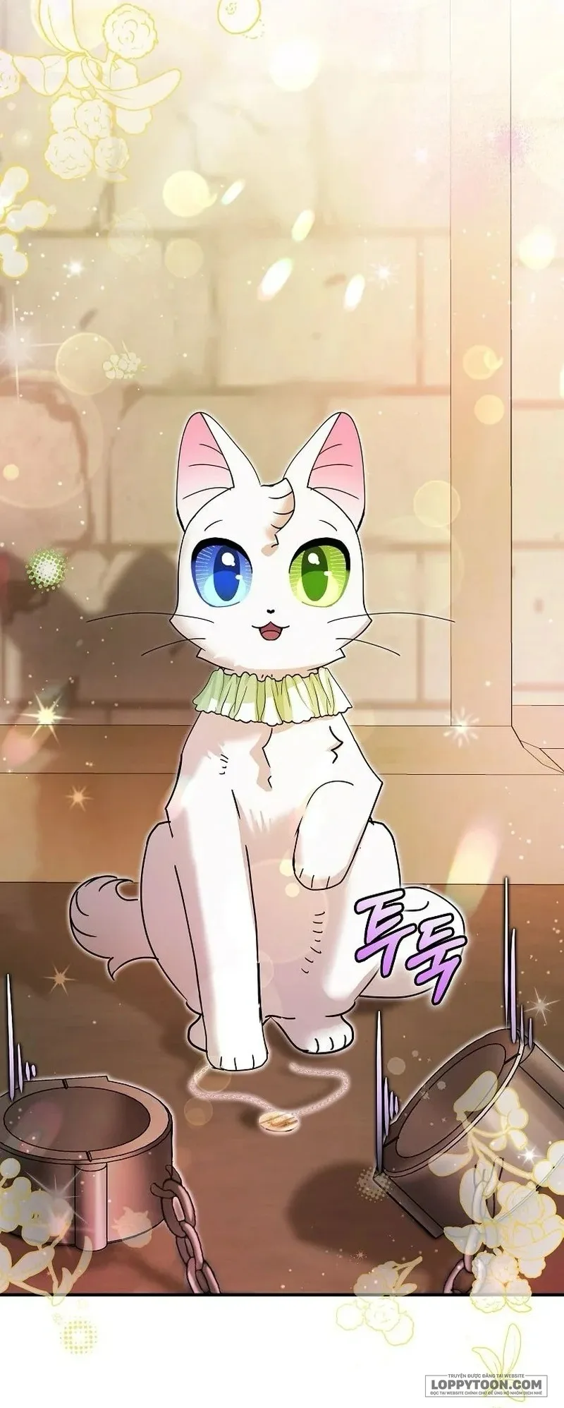 Trở Thành Miêu Nữ Của Hoàng Đế - Chap 35 - Trang 54