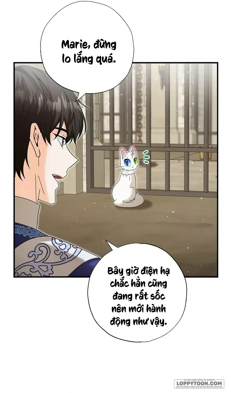 Trở Thành Miêu Nữ Của Hoàng Đế - Chap 36 - Trang 6