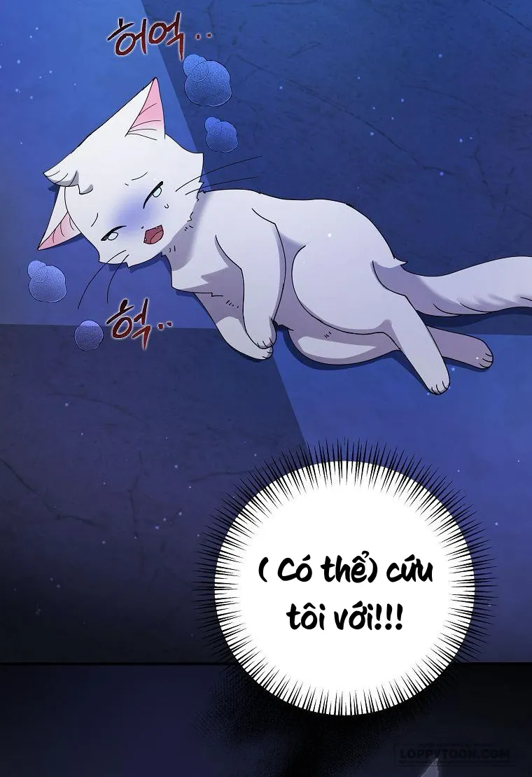 Trở Thành Miêu Nữ Của Hoàng Đế - Chap 4 - Trang 28