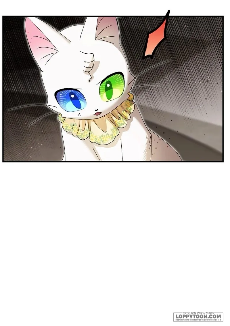 Trở Thành Miêu Nữ Của Hoàng Đế - Chap 40 - Trang 22