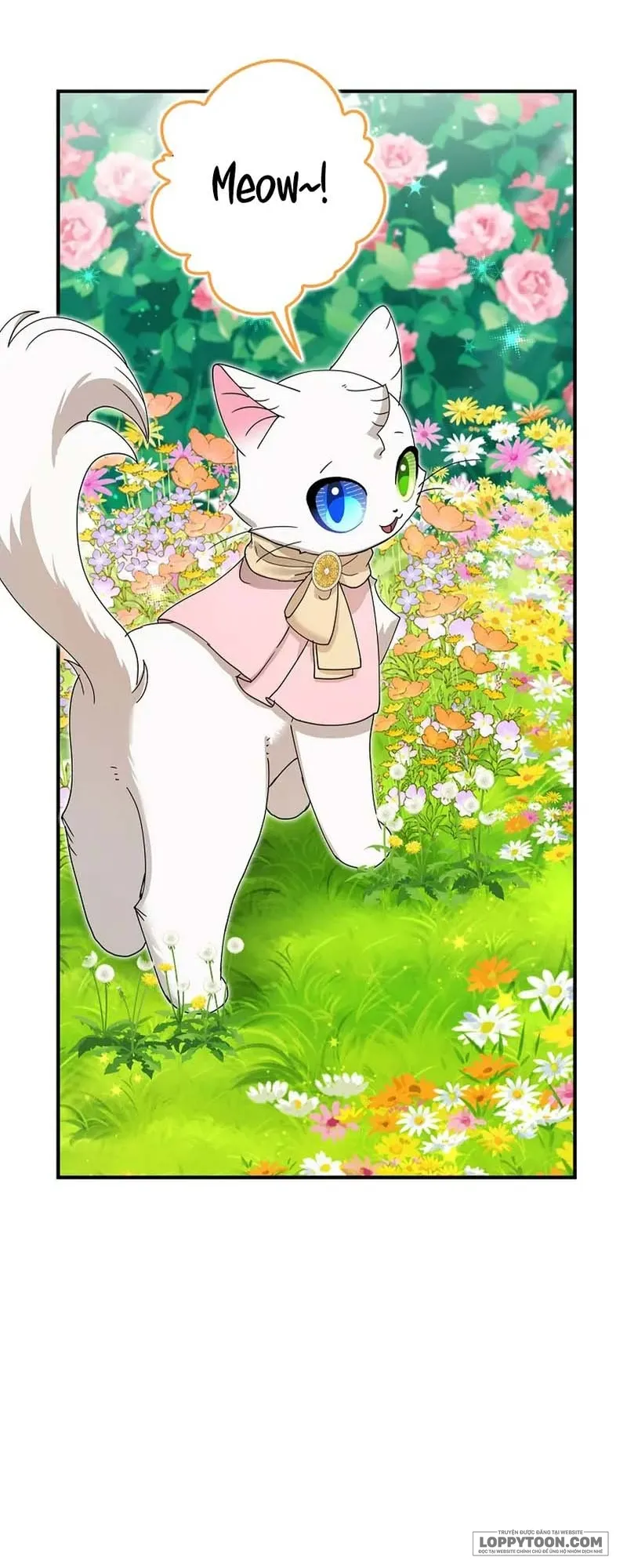 Trở Thành Miêu Nữ Của Hoàng Đế - Chap 52 - Trang 2