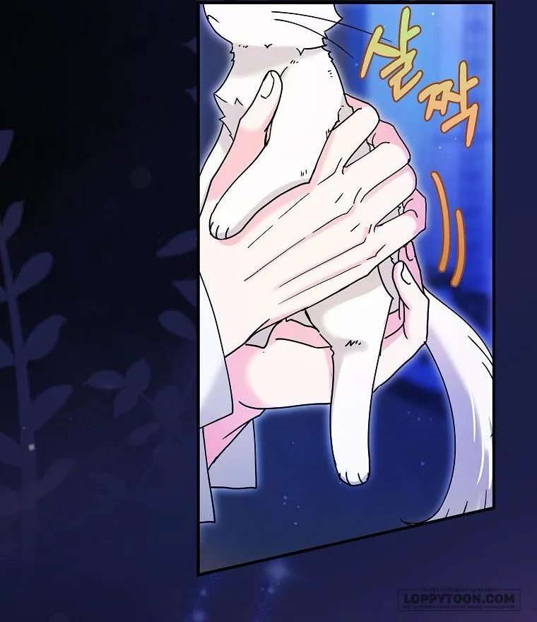 Trở Thành Miêu Nữ Của Hoàng Đế - Chap 6 - Trang 12