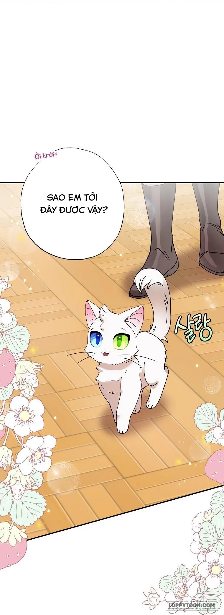Trở Thành Miêu Nữ Của Hoàng Đế - Chap 7 - Trang 8