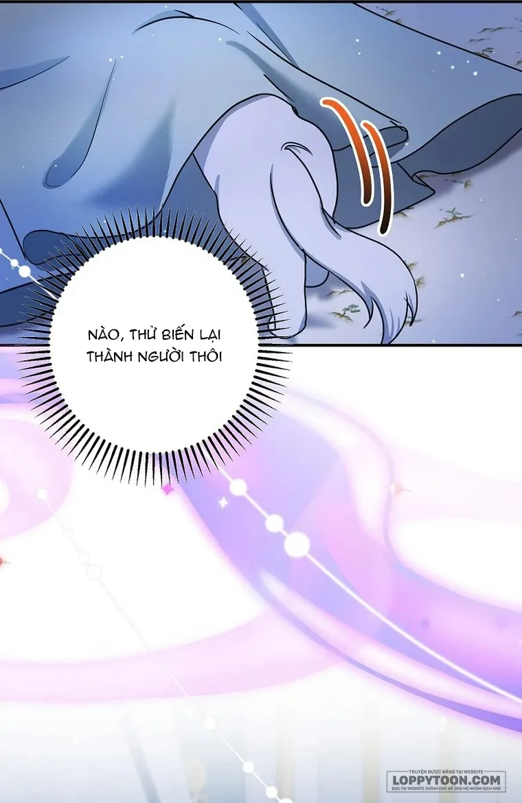 Trở Thành Miêu Nữ Của Hoàng Đế - Chap 72 - Trang 53