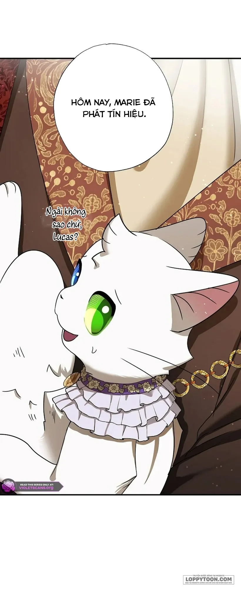 Trở Thành Miêu Nữ Của Hoàng Đế - Chap 74 - Trang 6