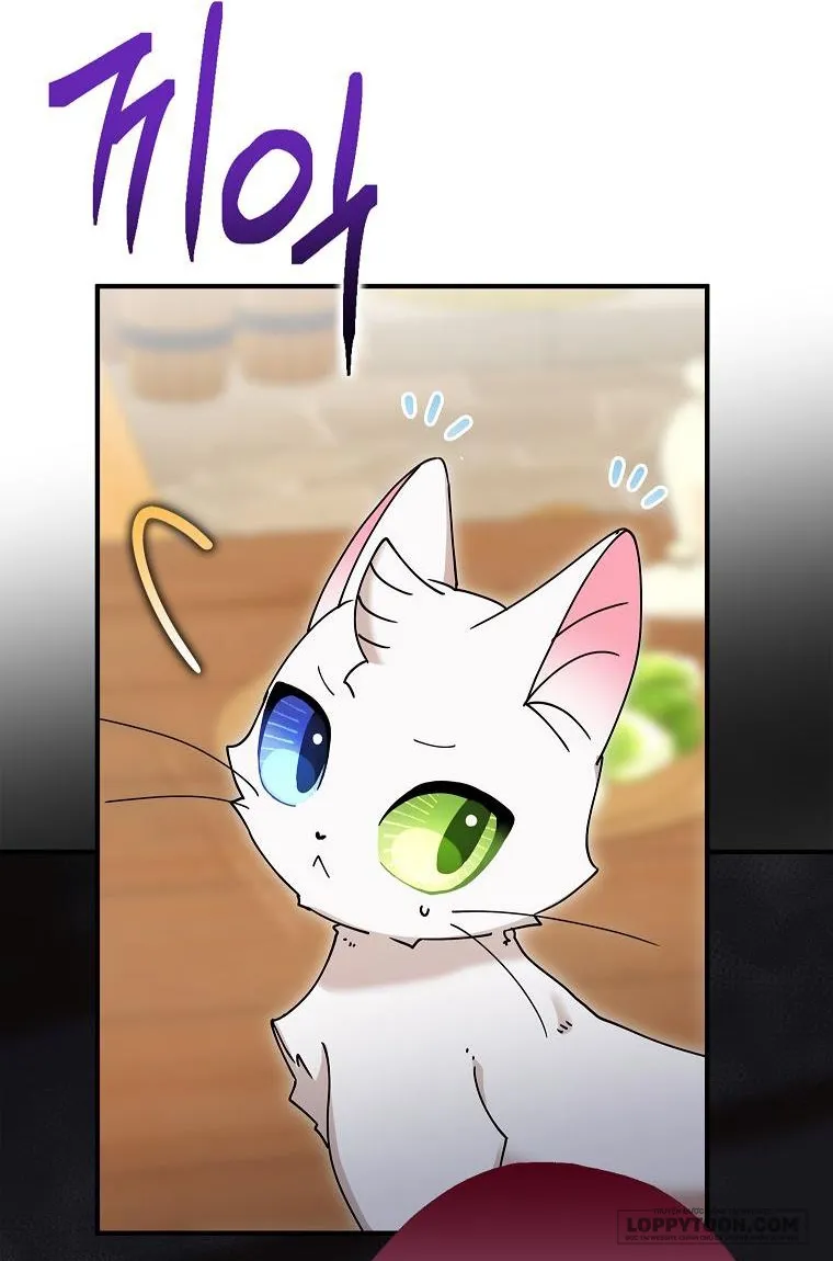 Trở Thành Miêu Nữ Của Hoàng Đế - Chap 8 - Trang 50