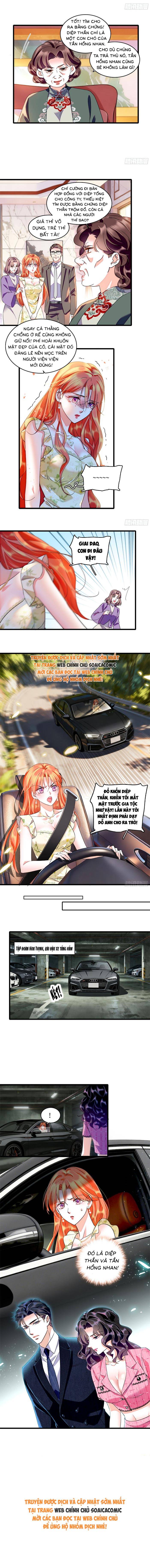 Tỷ Phú Ở Rể - Chap Tỷ Phú Ở Rể – Chap 15 - Trang 5