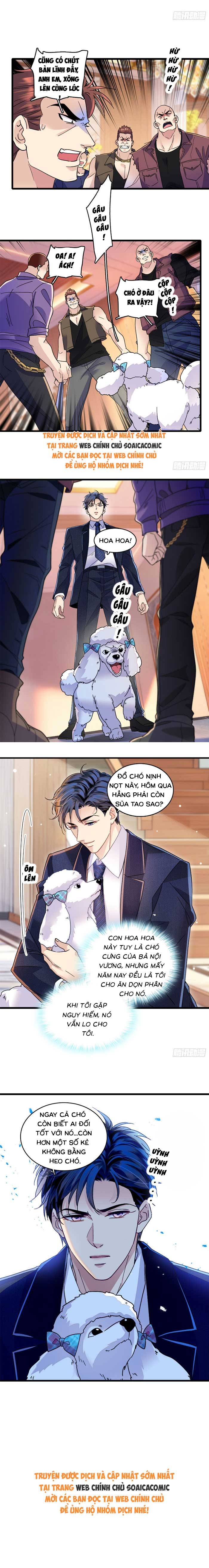 Tỷ Phú Ở Rể - Chap Tỷ Phú Ở Rể – Chap 18 - Trang 6
