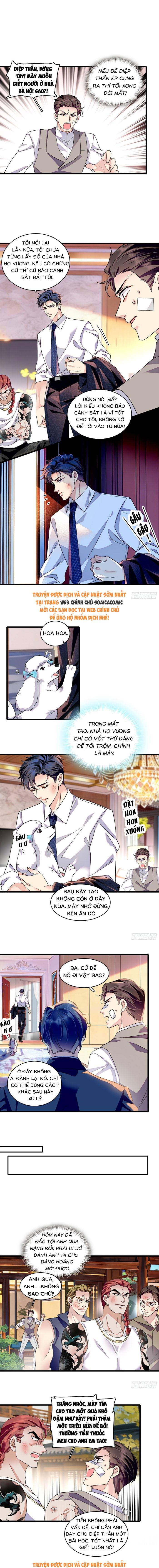 Tỷ Phú Ở Rể - Chap Tỷ Phú Ở Rể – Chap 19 - Trang 4