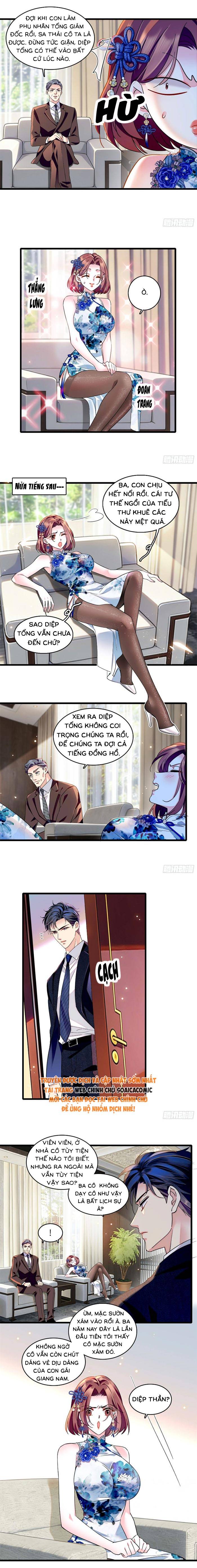 Tỷ Phú Ở Rể - Chap Tỷ Phú Ở Rể – Chap 20 - Trang 3