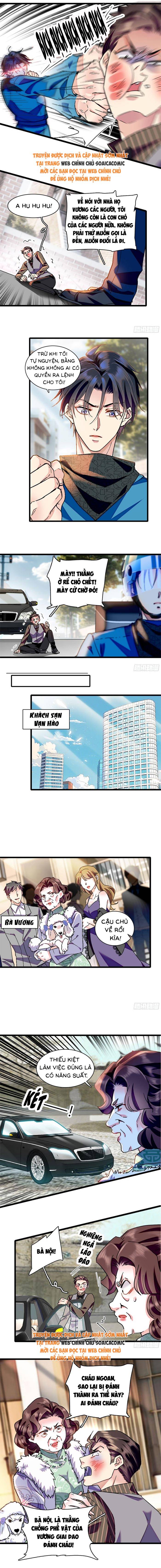 Tỷ Phú Ở Rể - Chap Tỷ Phú Ở Rể – Chap 3 - Trang 3