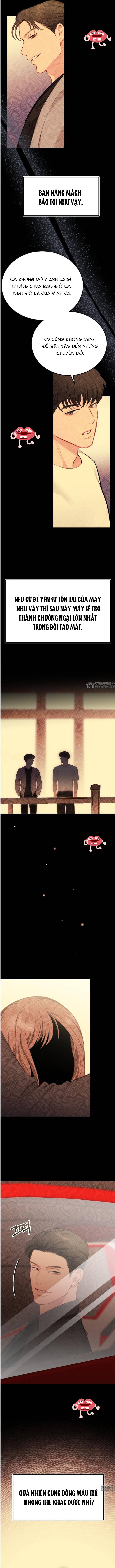 Văn Phòng Thư Ký - Chap Văn Phòng Thư Ký – Chap 36 - Trang 7