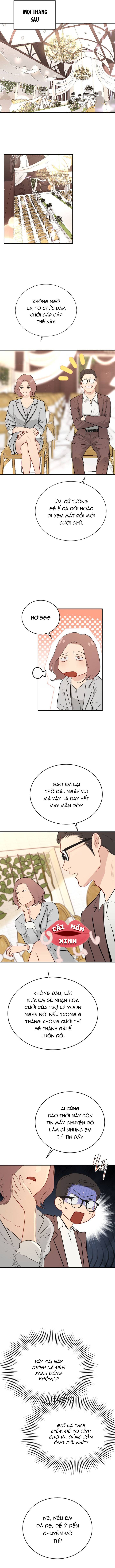 Văn Phòng Thư Ký - Chap 52 - Trang 4